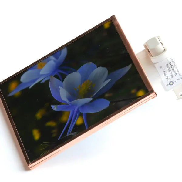 Columbine Close Night Light 4x4