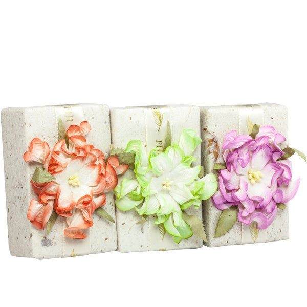 Luxury Soap 3 Pack (3.9oz/110g): Assorted