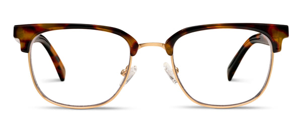 Rory Tortoise Readers