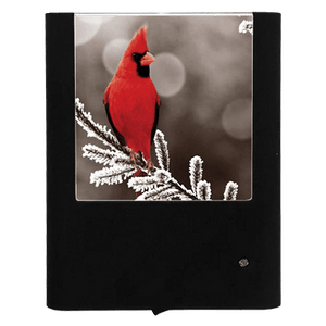 Winter Male Cardinal Night Light