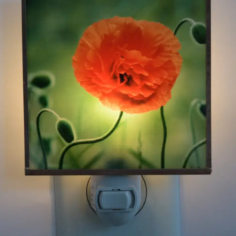 Poppy Flower Night Light 4x4