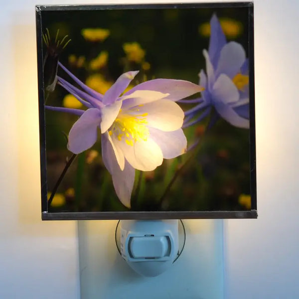 Columbine Close Night Light 4x4