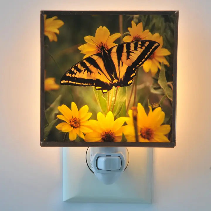 Yellow Flower Butterfly Night Light 4x4