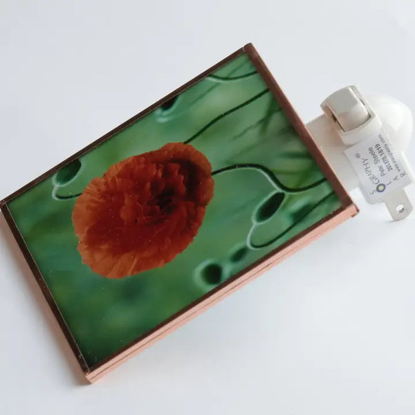 Poppy Flower Night Light 4x4