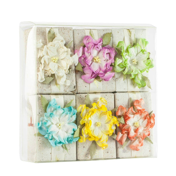 Luxury Soap 6 Pack (6 x 3.9oz/110g): Assorted