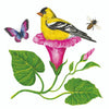 Morning Glory Nest Bev. Napkins