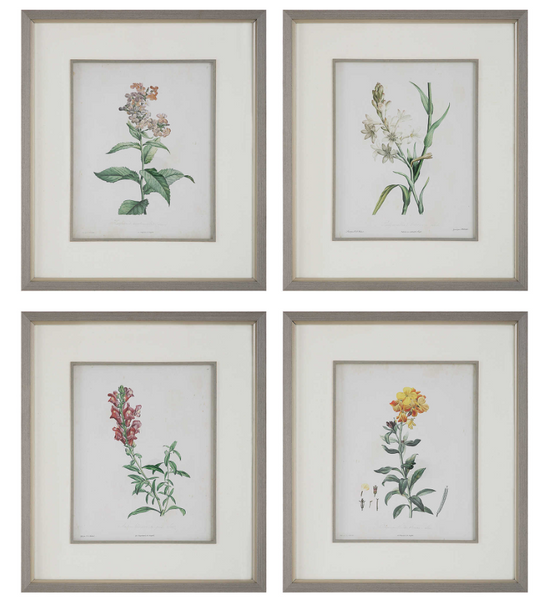 Heirloom Blooms Study Framed Prints Set of 4