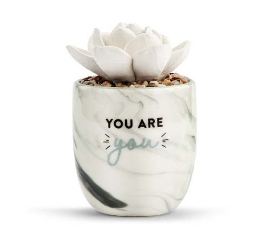 Succulent Oil Diffuser - You Are You