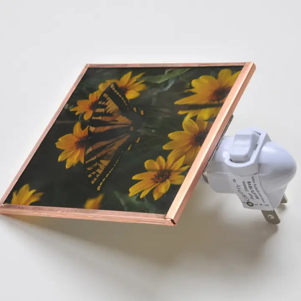 Yellow Flower Butterfly Night Light 4x4