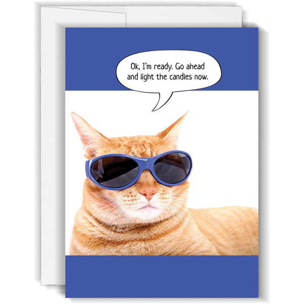 Cat Sunglasses - Funny Birthday Card