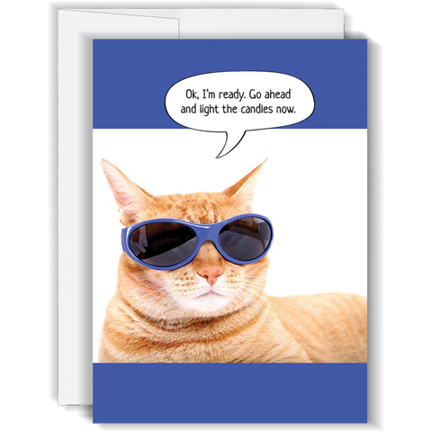 Cat Sunglasses - Funny Birthday Card